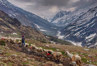 Ralam dhura Pass Uttarakhand